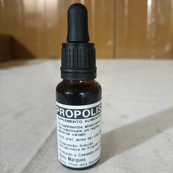 1x1__PROPOLIS